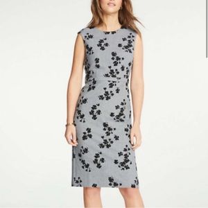 Ann Taylor Petite Floral Cap Sleeve Sheath Dress 10P Gray Multi